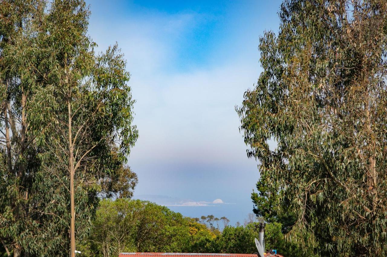 Cabaña en Tunquén, bosque, piscina y vista al mar Extérieur photo