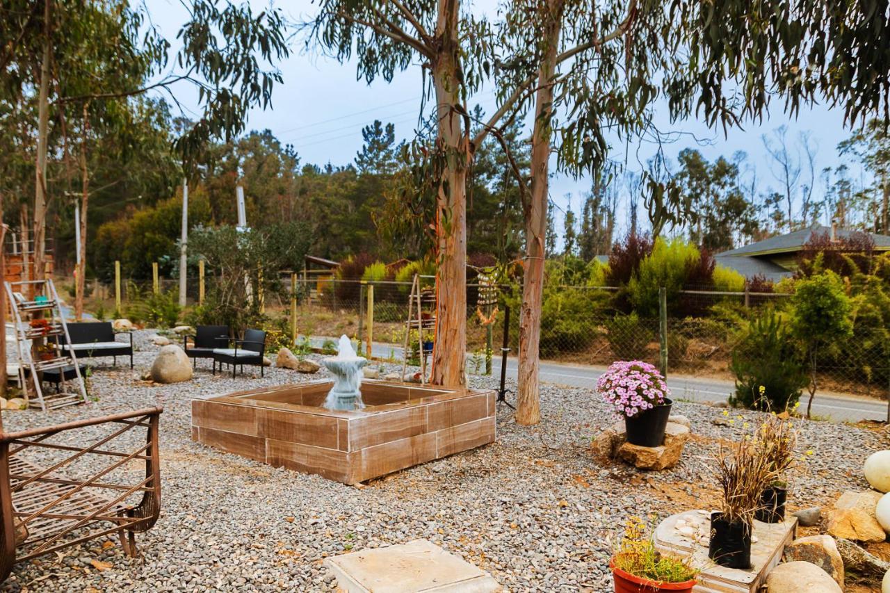 Cabaña en Tunquén, bosque, piscina y vista al mar Extérieur photo